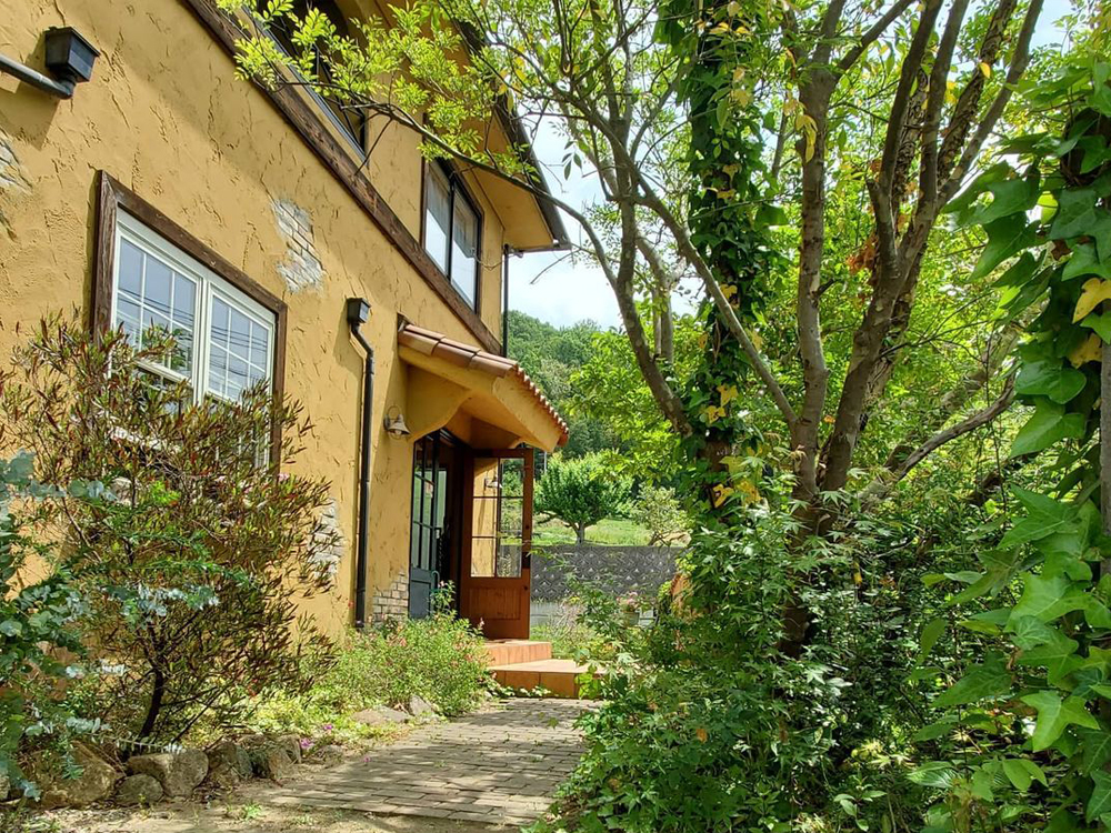 お客様感謝キャンペーン